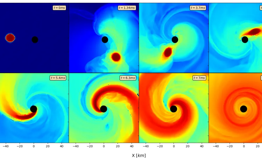 Black Hole - Neutron Star mergers