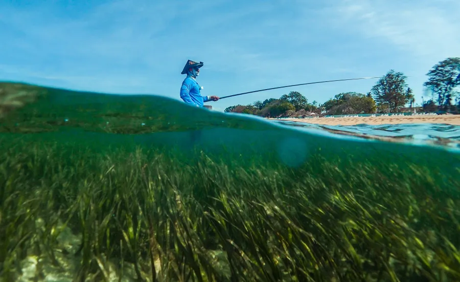 A person with a fishing line standing in the sea with lots of sea kelp 