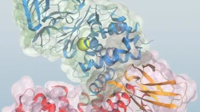 3D molecular visualization of a protein structure with secondary elements in blue, green, red, and orange, surrounded by a semi-transparent surface representation.