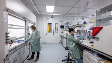 View of the main laboratory showing wet benches and other bench top equipment
