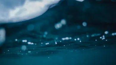 Underwater shot with the surface in view.