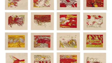 A drawing entitled "Fragments of Perception" by Martha Davies. A collection of 16 abstract pen drawings arranged in a four by four grid, with dynamic strokes in red, yellow, and green on cream coloured paper, creating a tapestry of vivid abstract forms.