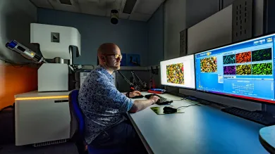 A scientist sits at a bank of computer screens performing scanning electron microscopy