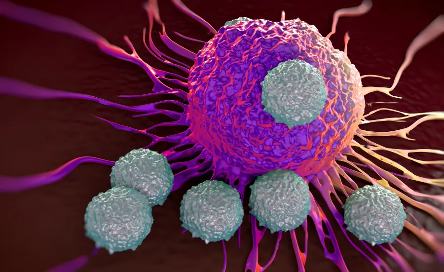 Microscopic close up of a cancer cell