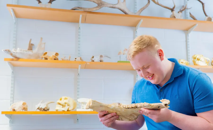 BA Archaeology student looking at artefact