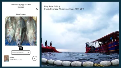 Adapting for Survival: Managing Small-Scale Fisheries for a Resilient Future