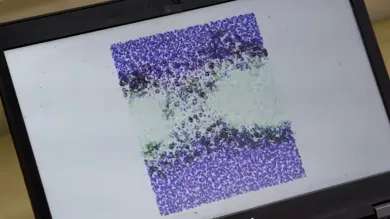 Placeholder image indicating the presence of a video on digital chemistry.