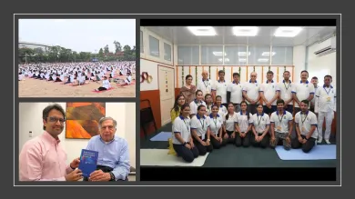 Collaged images of project