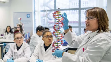 Teacher demonstrating a DNA model to students in a science lab during a summer school session.