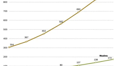 Chart of India's religious groups