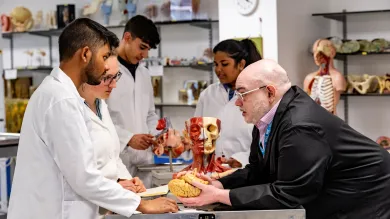People in a lab examining anatomical models, including a human head and brain.