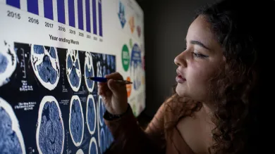 A student leans in close to an interactive board to point out an area of a brain scan