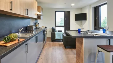 The kitchen at Southampton Crossings features a row of counters and cupboards, with sofas and a small TV in the back corner. 