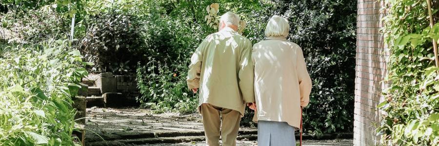 An elderly man and woman walk along a sunny tree-lined path away from the viewer