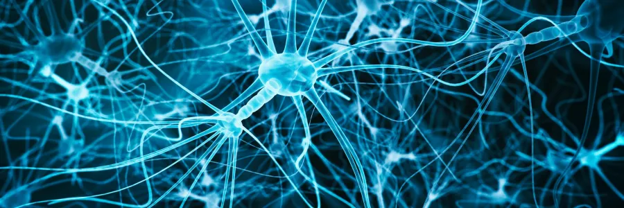 A network of bright blue neurons with interconnecting branches against a dark background.