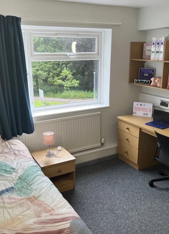 Enhanced shared bathroom room at Glen Eyre Hall