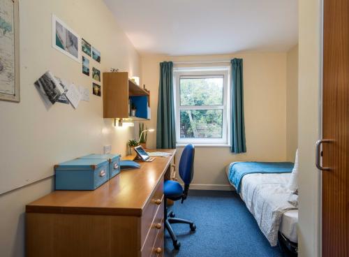 A bright, airy student bedroom with desk and single bed.