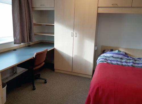 A student bedroom showing large double bed with red bed sheets, full height wooden wardrobes and cupboards, and a large desk. Light streams in through a large window.