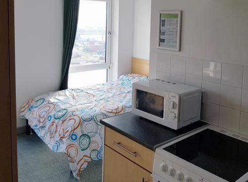 View of a studio flat showing a double bed in front of a large window. A kitchen area with microwave and oven is also partially visible.