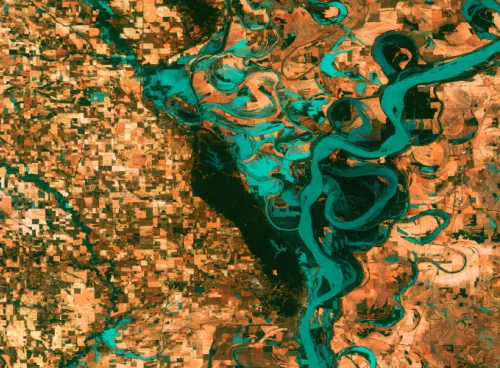 A satellite image of a river delta.