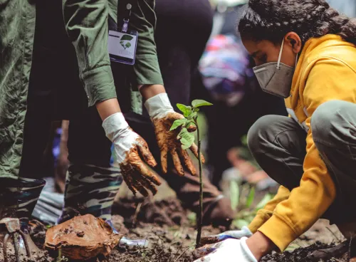 Pexels image of a young person learning how to plant a tree in a forest