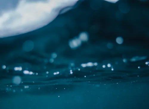 Underwater shot with the surface in view.