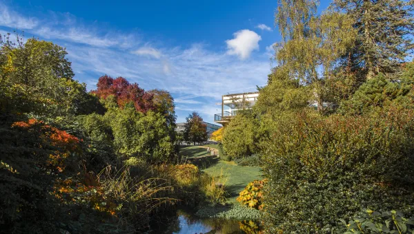 Wide view of Highfield Campus with autumn colours.