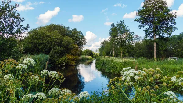 River flowing through trees, grass and meadowlands on a sunny day.