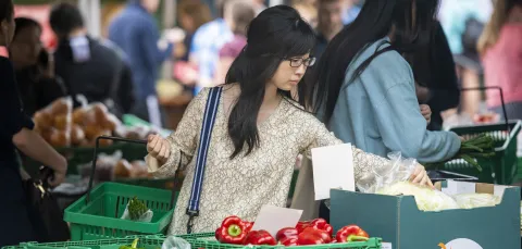 Student shopping for vegetables in the market.
