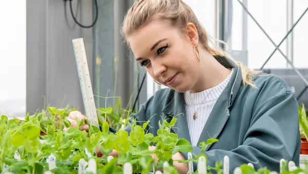 undergraduate biology student studying plant leaves