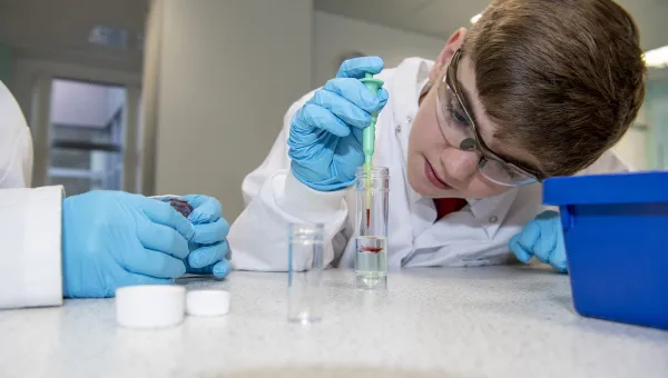 Young school pupil with gloves, goggles and pipette doing experiment in lab