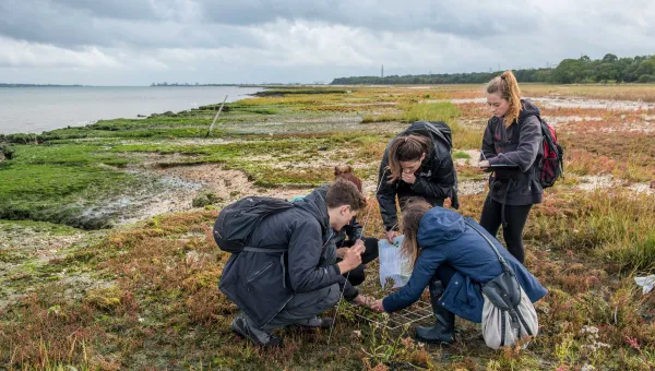 A group of students collect samples of plant life from a salt marsh on the banks of a large estuary.