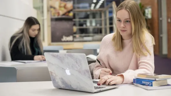 Languages students quietly studying using laptops and books at Avenue Campus