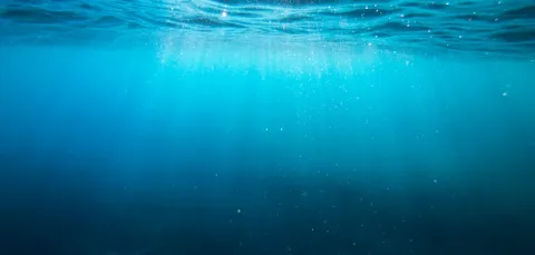 Under the sea