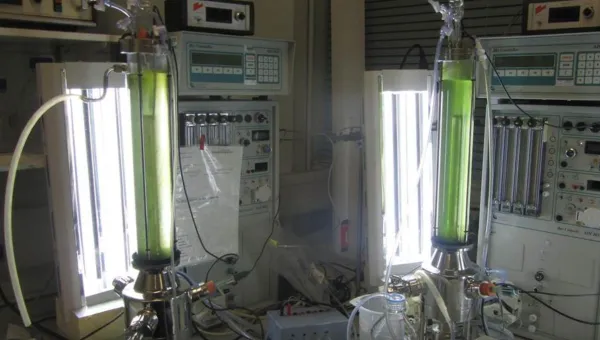 A number of photobioreactors in a laboratory setting
