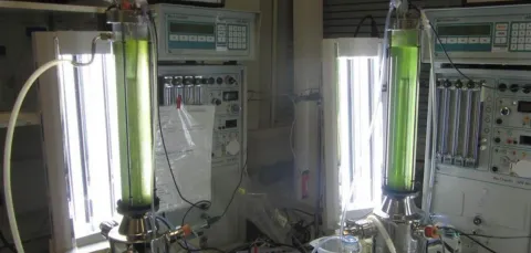 A number of photobioreactors in a laboratory setting