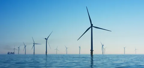Offshore wind farm