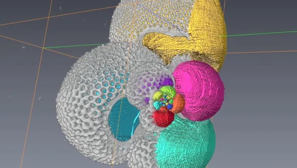 Imaging foraminifera 