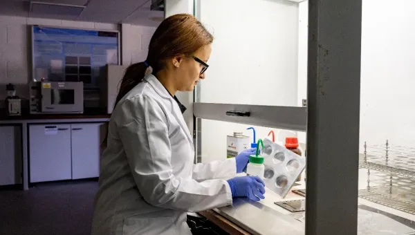 Scientist looking at an assay plate in a fume cupboard