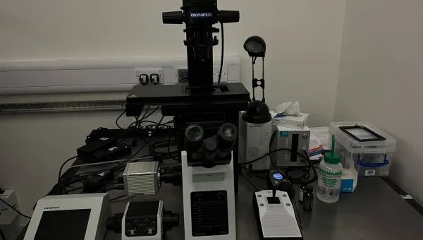 Fluorescence system