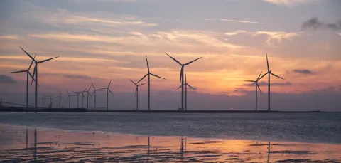 Coastal windturbines at sunset