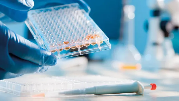 Syringe and petri dish used to analyse samples