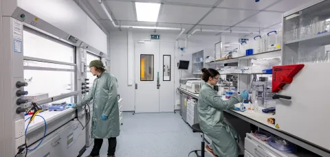 View of the main laboratory showing wet benches and other bench top equipment