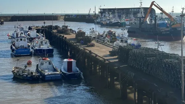 Boats in the port