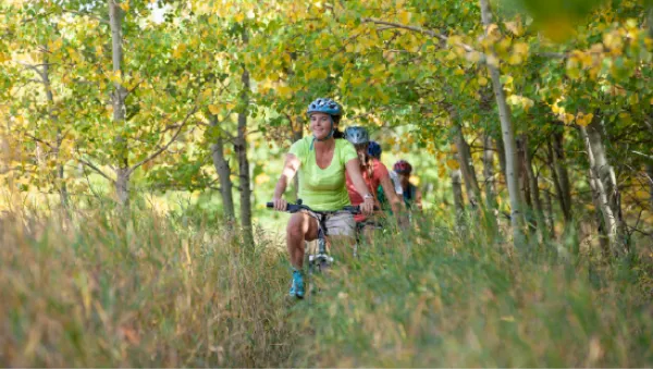 Group of cyclists riding along a narrow trail through a leafy woodland in early autumn.