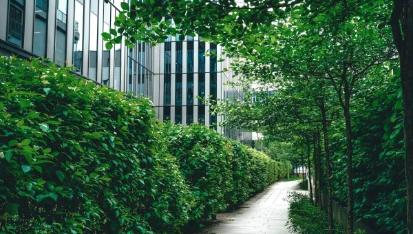 A clean urban environment with lush plants bordering a cement walkway.