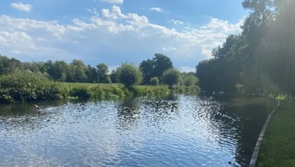 A tranquil riverside scene with a wide river and greenery on a sunny day.