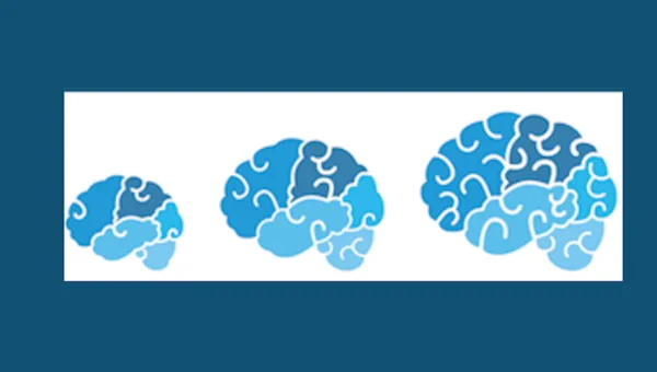 Illustration of 3 brains on a plain background