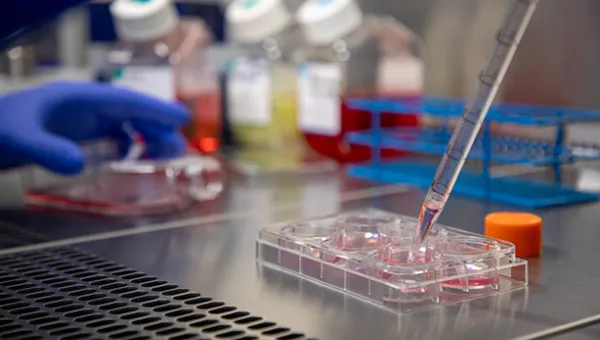 A gloved hand using a pipette over a clear cell culture plate in a laboratory, with coloured bottles in the background.