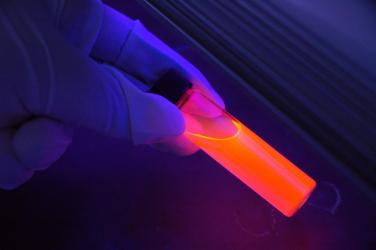 A lab tube  with orange liquid held by fingers.